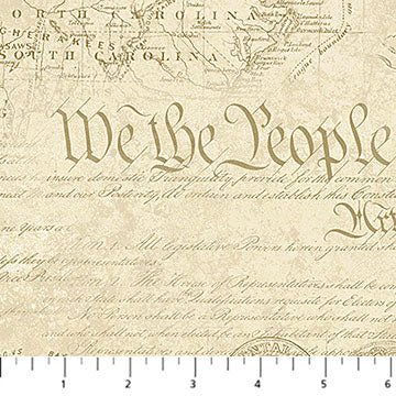 America 250 Map DP28374-12